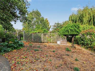 Picture 24